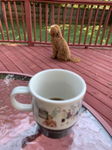 dog sits on a deck in a fenced backyard with coffee cup on a table in the foreground