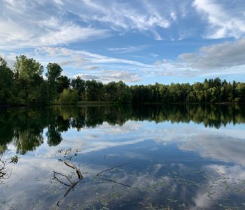 trees, sky and clouds reflected in a clear lake