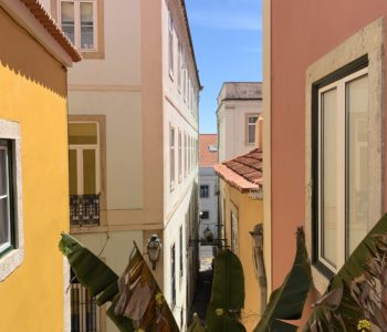 A daily dose of Lisbon, Portugal: Colorful buildings, blue skies and green plants