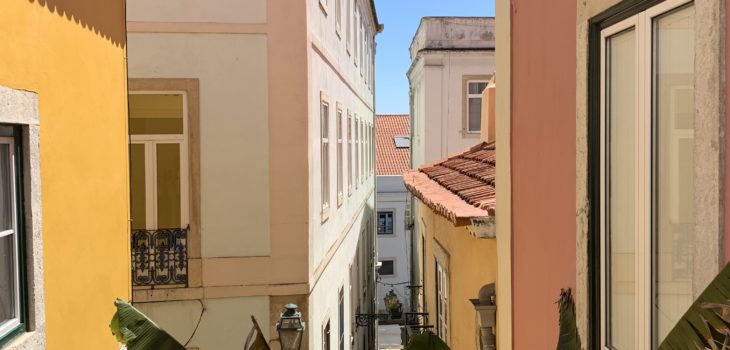 A daily dose of Lisbon, Portugal: Colorful buildings, blue skies and green plants