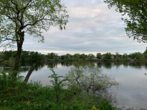 Wisconsin River view without hopa trees